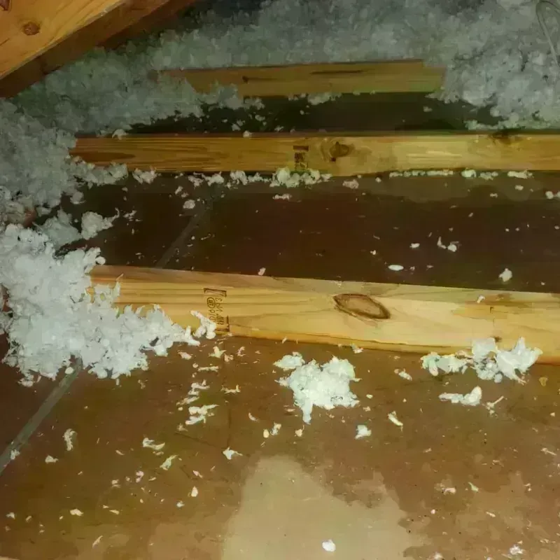 Attic Water Damage in Lakewood, TN