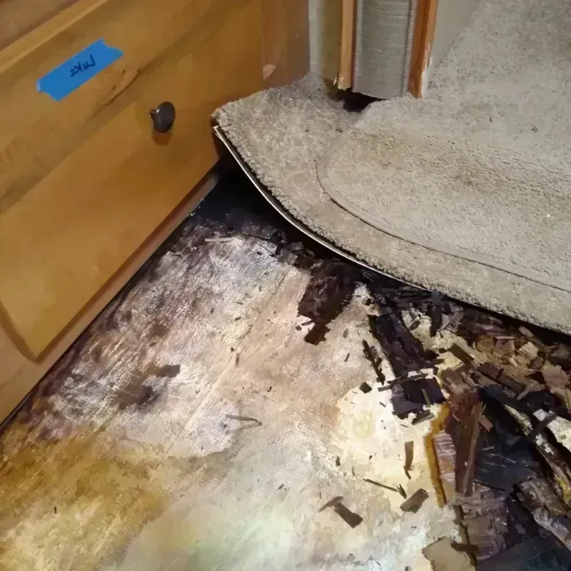 Wood Floor Water Damage in Lakewood, TN